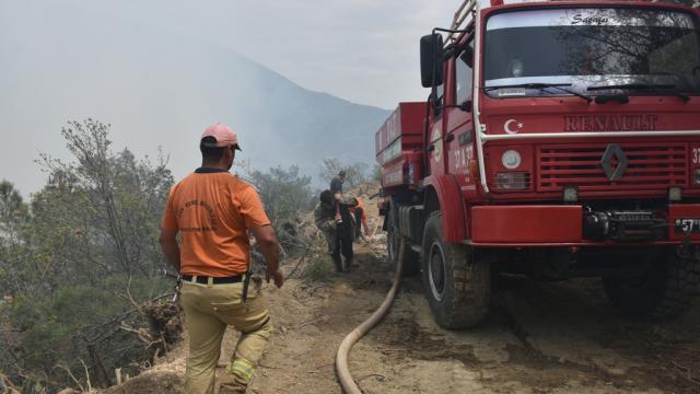 Sinopta çıkan orman yangını kontrol altına alındı