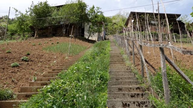Küs komşular aynı yere 1 metre arayla 2 merdiven yaptı