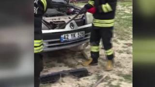 Otomobilin motoruna giren yılan itfaiye ekiplerince çıkarıldı