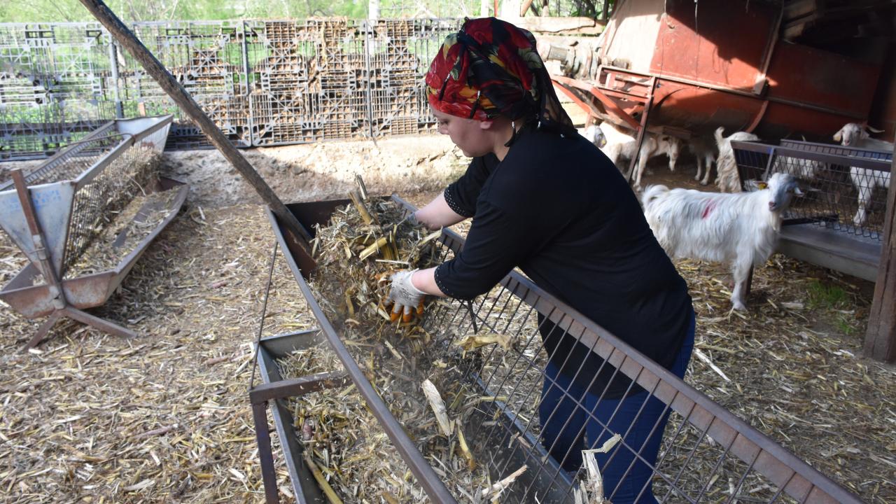  "Yem saatleri yaklaştığında bağırmaya başlıyorlar"