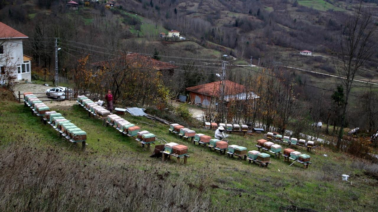 Kestane balının kilogramı 150 ila 200 lira arasında satılıyor