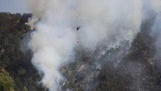 Denizli'de orman yangını