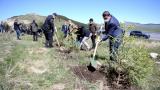 Ardahan'ın orman varlığının artırılması için 100 bin fidan toprakla buluşturuldu
