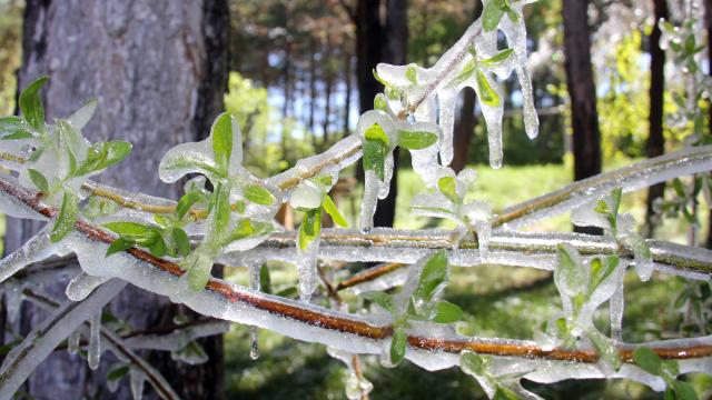 Meteorolojiden İç Anadoluya "don" uyarısı