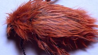 2 bin 340 rakımda keşfedildi, rengi şaşkına çevirdi