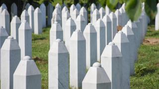 Srebrenitsa annelerinden uluslararası topluma çağrı