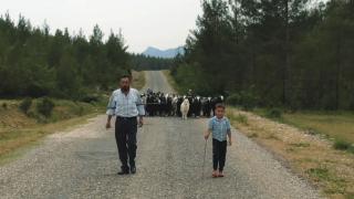 Yörükler yayla yolunda