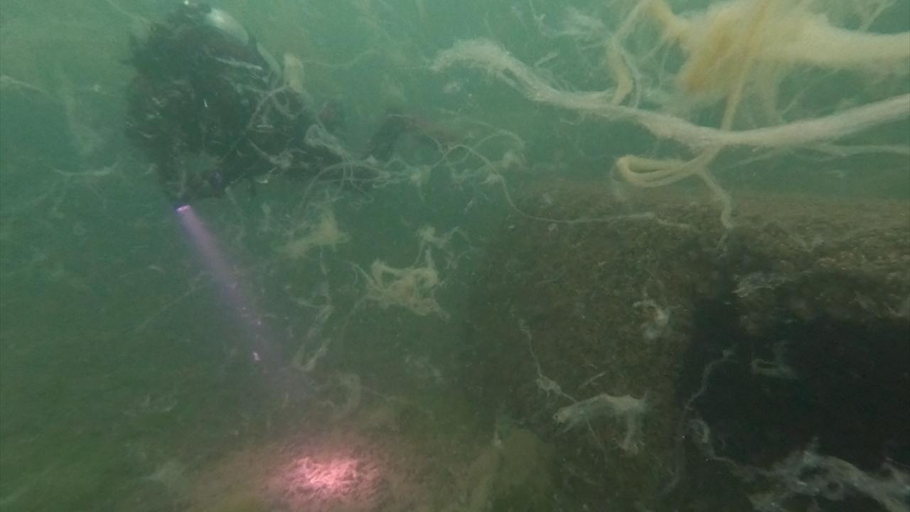 "BU YIL ÇOK UZUN SÜRDÜ"