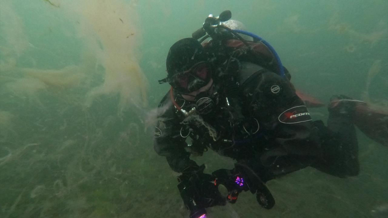 110 TON DENİZ SALYASI TOPLANMIŞTI