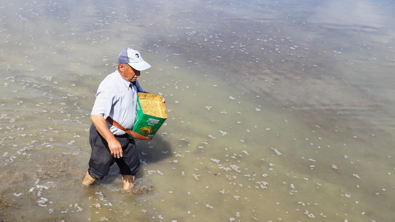 "Ekim mesaisi haziran ayının başına kadar devam edecek"