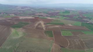 Çukurova'da yağışlar azalıyor, çiftçi iklimle mücadele ediyor