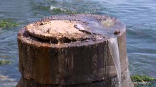 Kanalizasyon suyu denize aktı