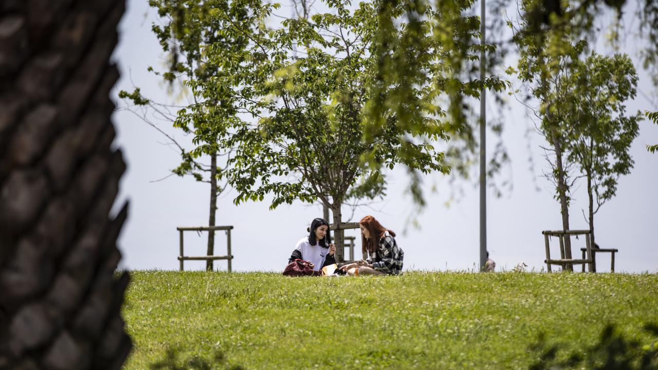 NET OKULLAŞMA ORANI