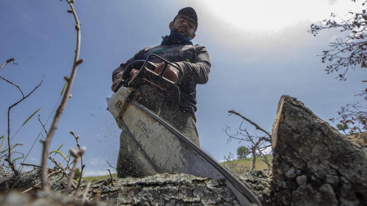 "Sabahtan akşama kadar güneşin altındayız"