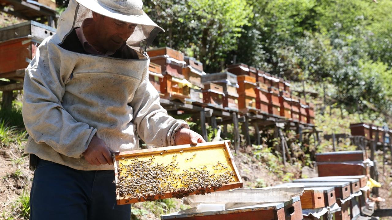 "Saf ve katkısız orman gülü ile kestane balı sunuyoruz"