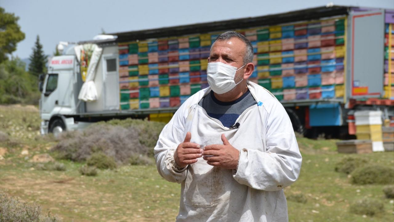 "Organik bal merakı arıcı yaptı"