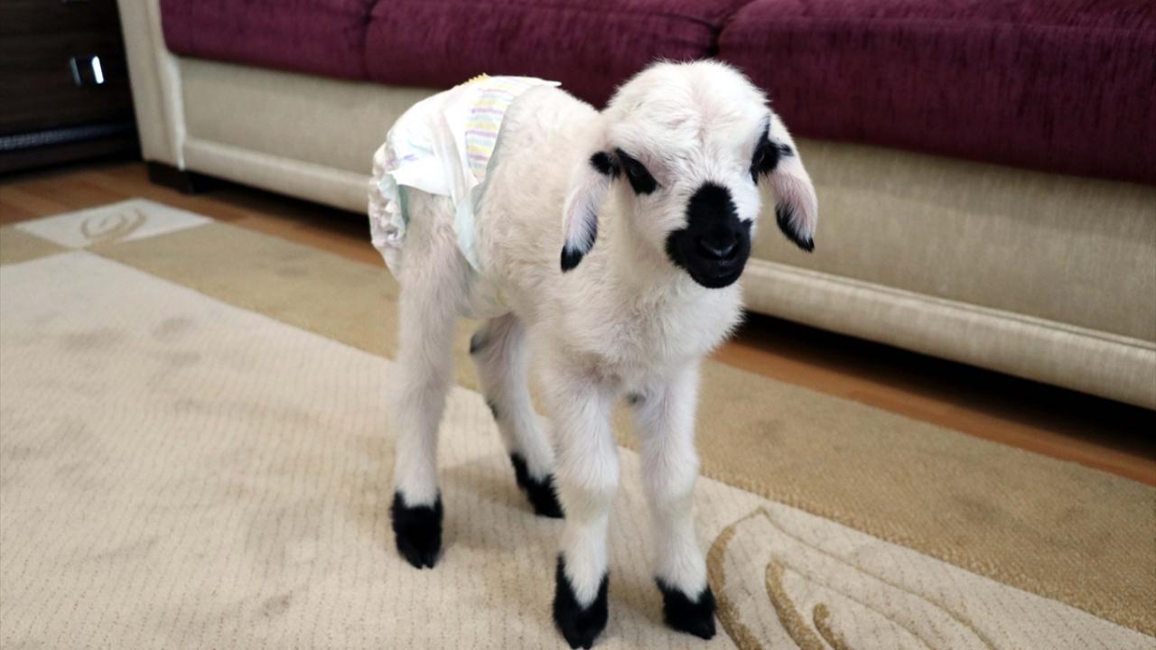 "Onun sayesinde gülüyorum"