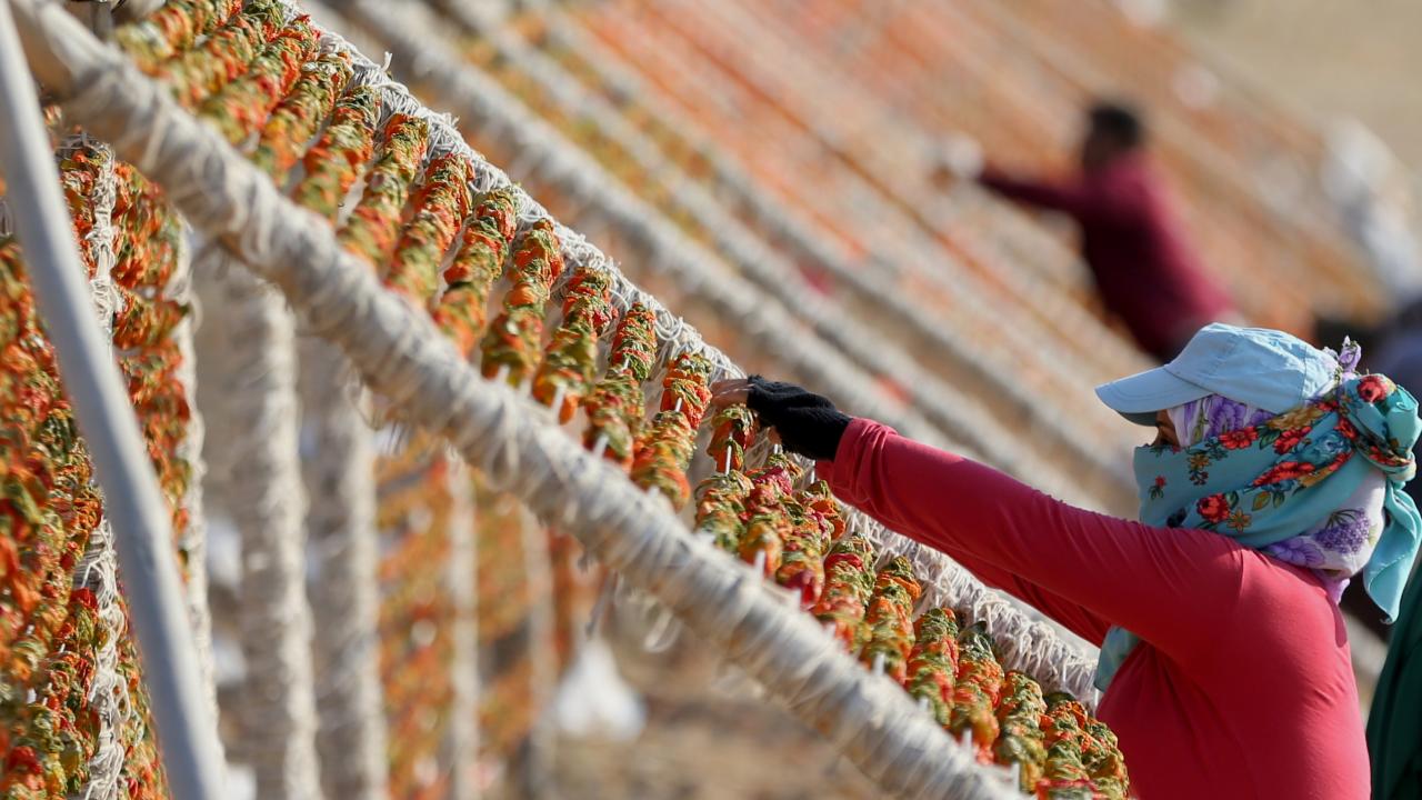 "Antep lahmacunu"na AB tescili başvurusu