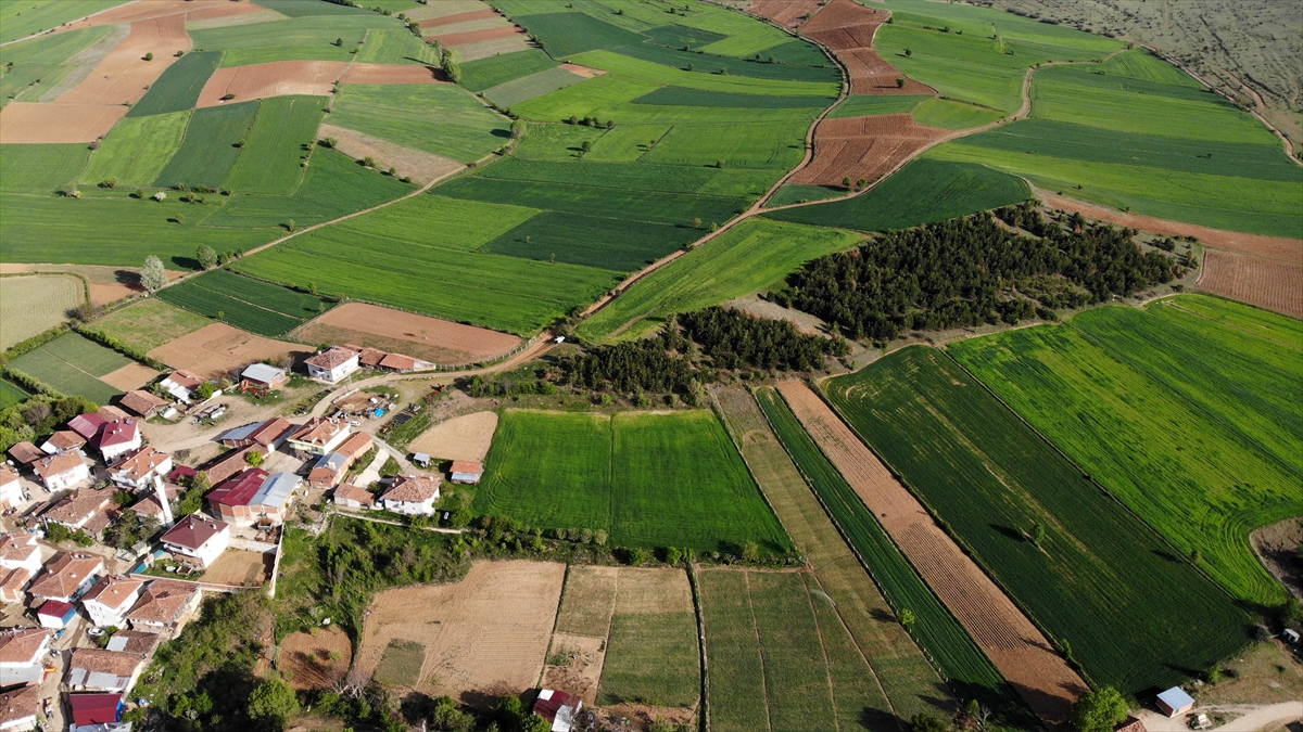 "Burası 2000`li yılların başlarında boş bir araziydi"