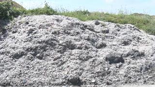 İstanbul'da baraj çevresindeki atıklar tehlike saçıyor