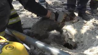 Boruda sıkışan yavru köpek beton kırılarak kurtarıldı