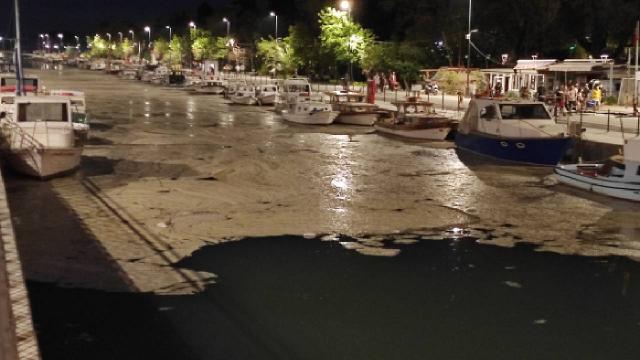 Kurbağalıdere de "deniz salyası" ile kaplandı