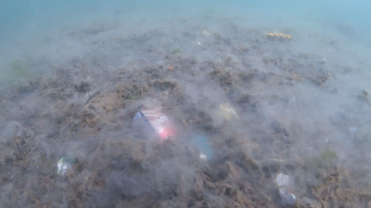 "Oksijenin olmadığı yerden balıklar uzaklaşıyor"