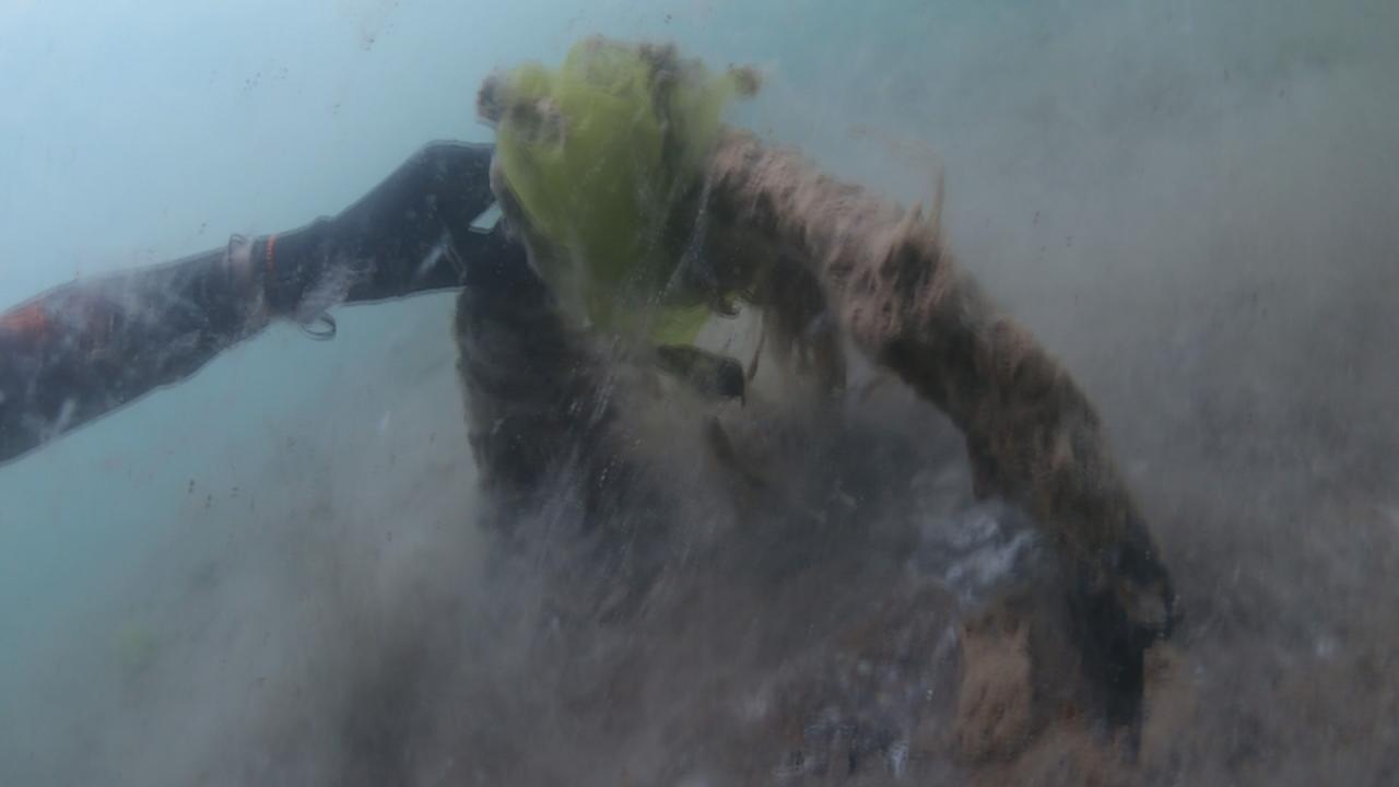 "Deniz yüzeyinde sadece yüzde 5`i görünüyor"