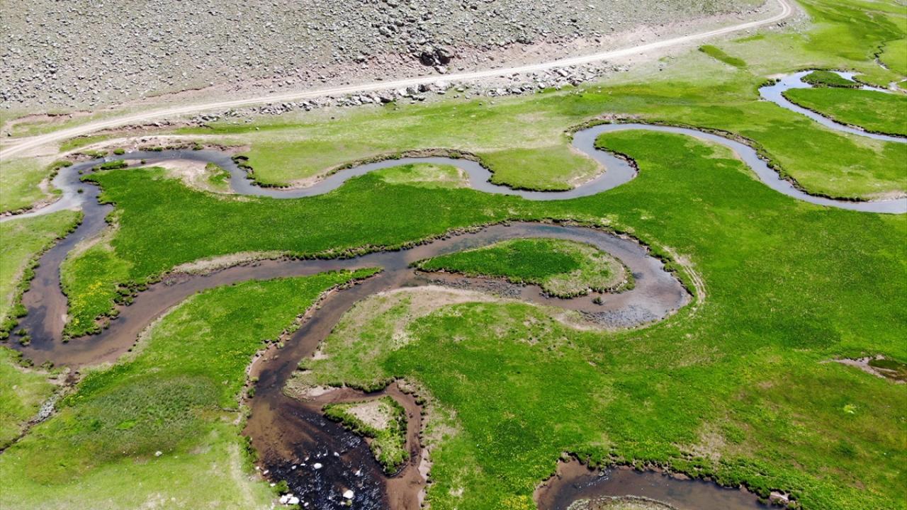 "Yıl boyu akan daimi akarsu özelliği taşıyor"