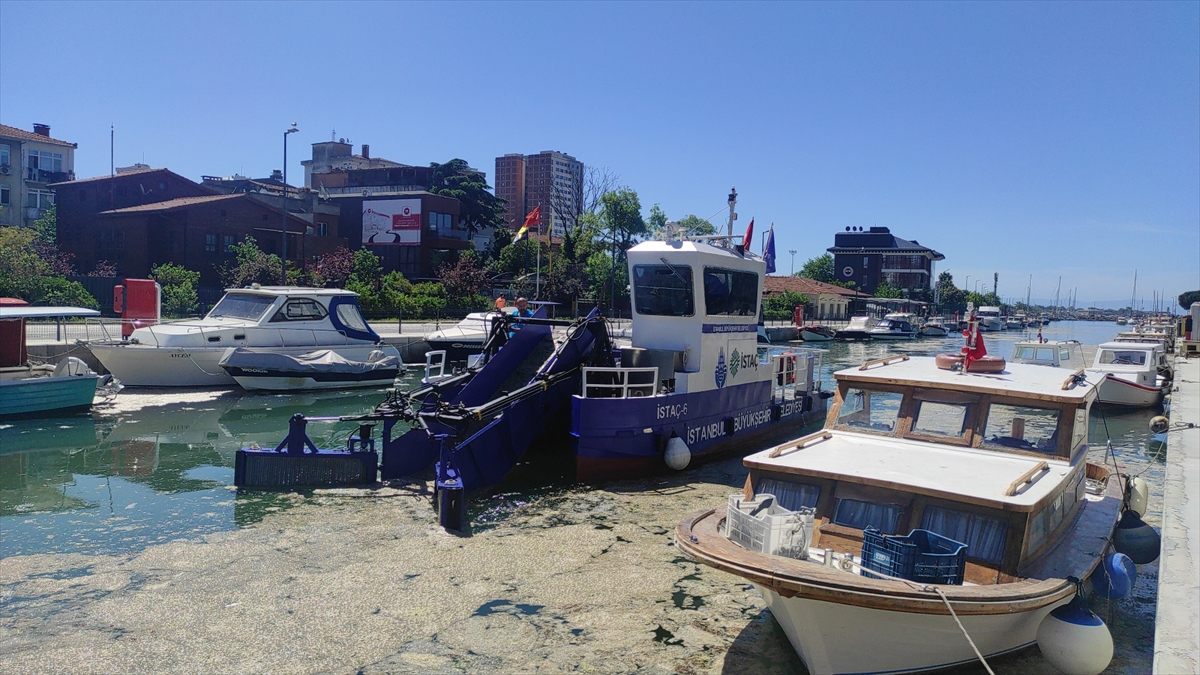 Temizlik çalışmaları sürüyor