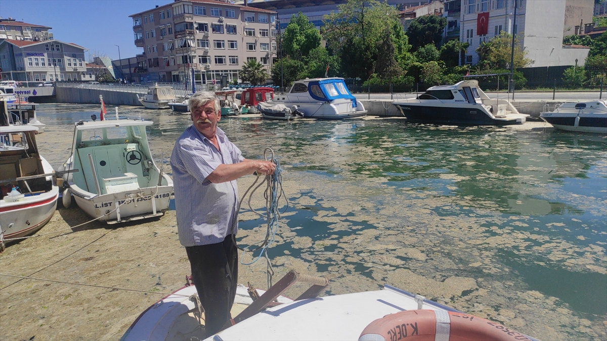 "Sadece biz değil bütün halk rahatsız"