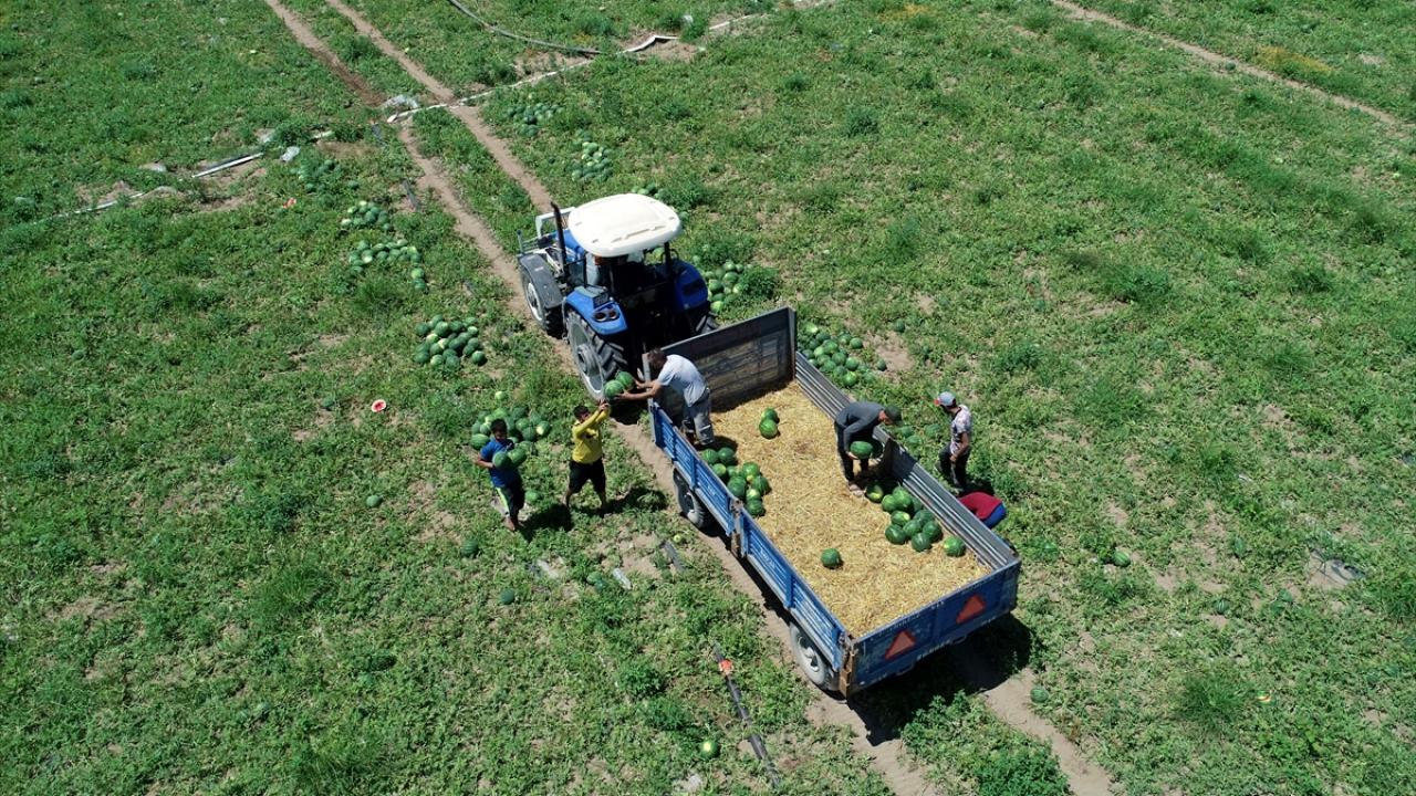 Üreticiler fiyattan memnun