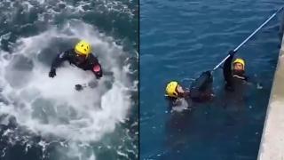 Denize düşen kediyi itfaiye dalgıçları kurtardı