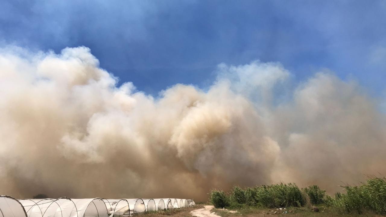 Yangına çok sayıda ekip ve 2 yangın söndürme helikopteriyle müdahale edildi. 