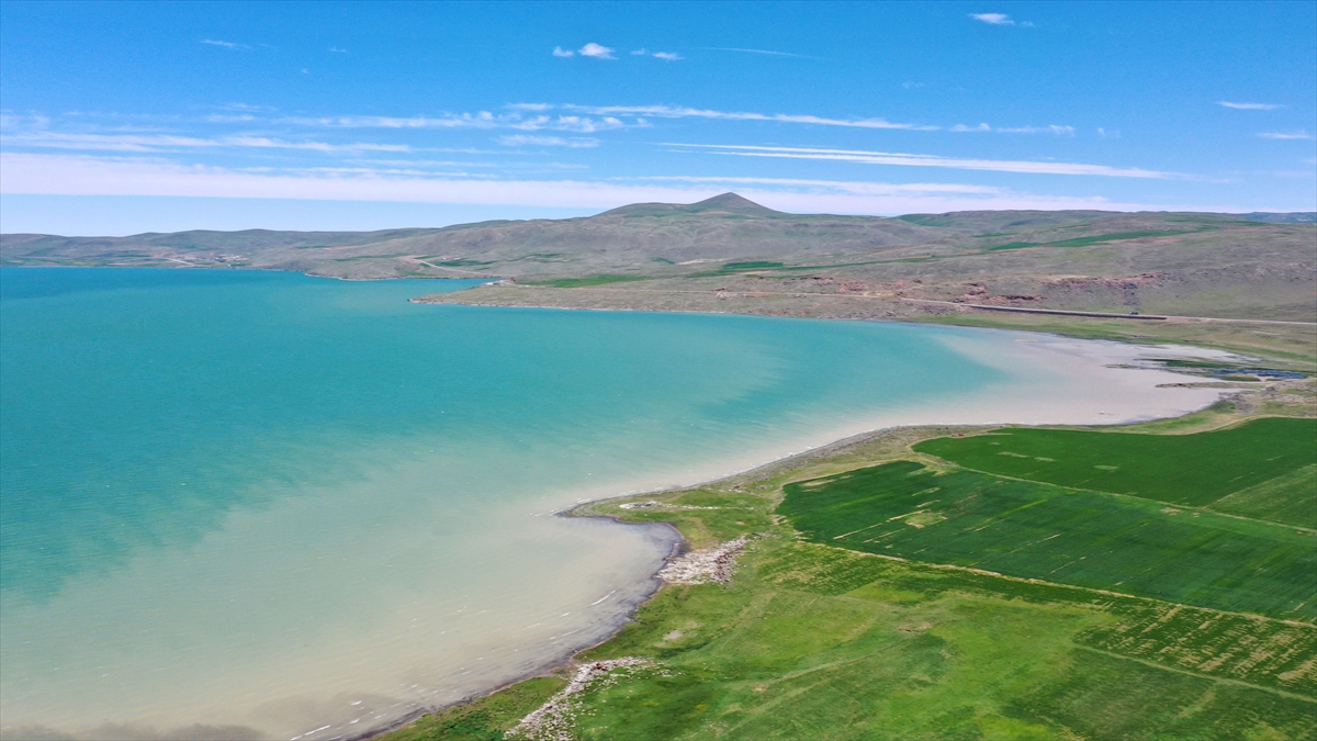 "Görenlerin bir daha unutmayacağına inanıyoruz"