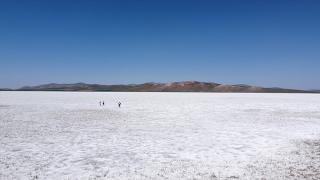 Van'ın kuş cenneti Akgöl kurudu