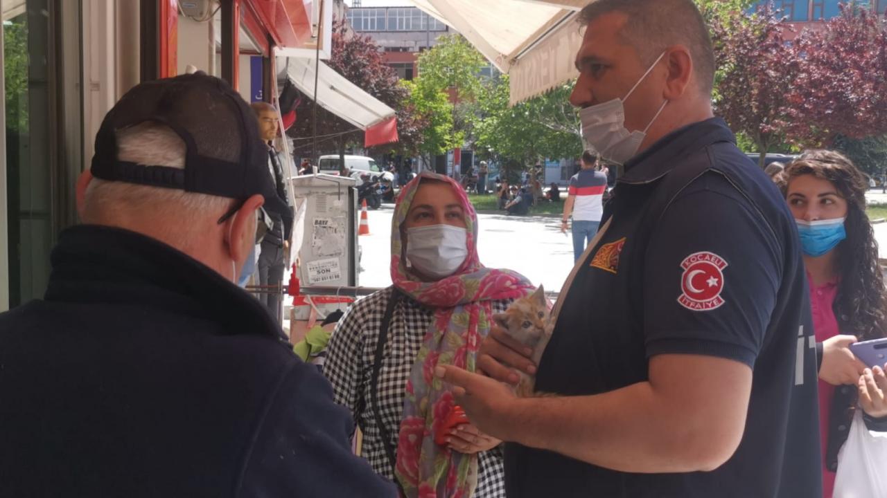 Kocaeli'de iş yerinin tabelasında mahsur kalan kedi yavrusunu itfaiye kurtardı