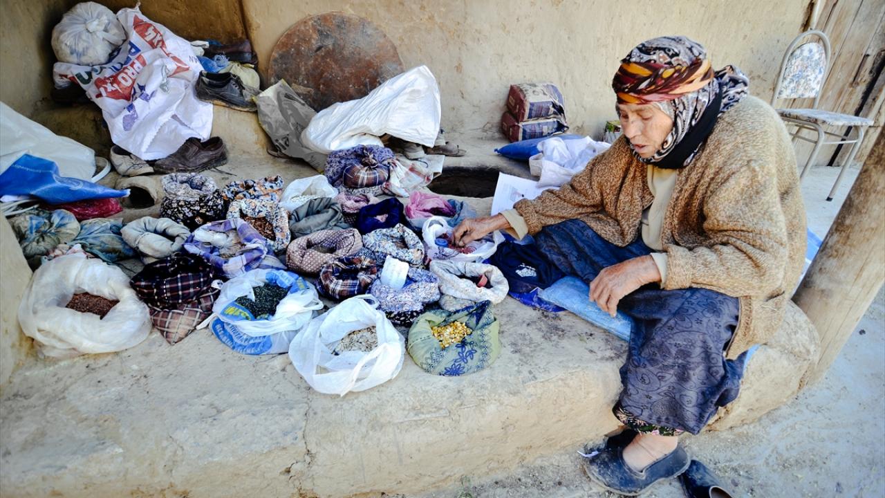 "Bu tohumlar annem evlendiğinden beri var"
