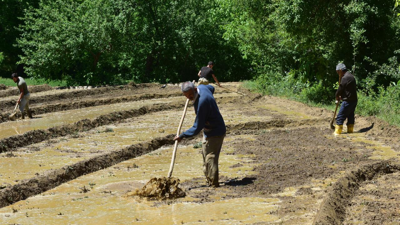 “Çok zorlu bir iş yapıyoruz”