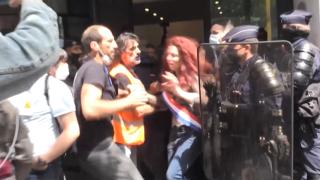 Fransa polisinden siyasetçilere sert müdahale