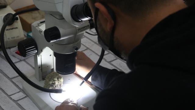 Piri Reisin ismi Antarktikada keşfedilen liken türünde yaşatılacak