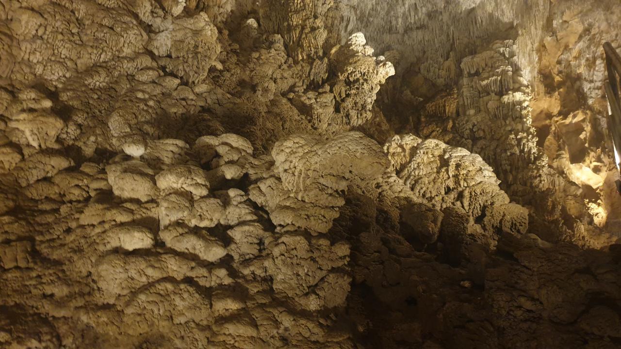  "Bu alanı daha da güzelleştireceğiz"