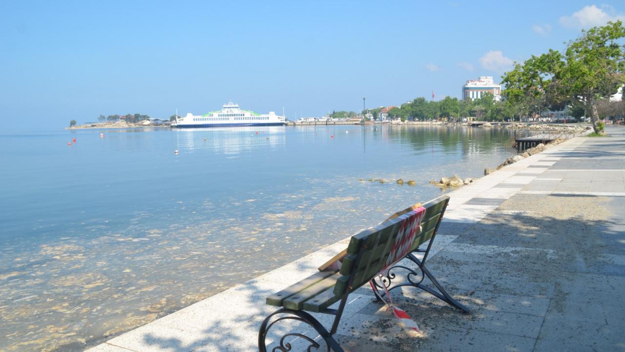 Bu oluşumun, yüzeyde azalsa da denizin içinde devam ettiğini dile getiren Sarı,