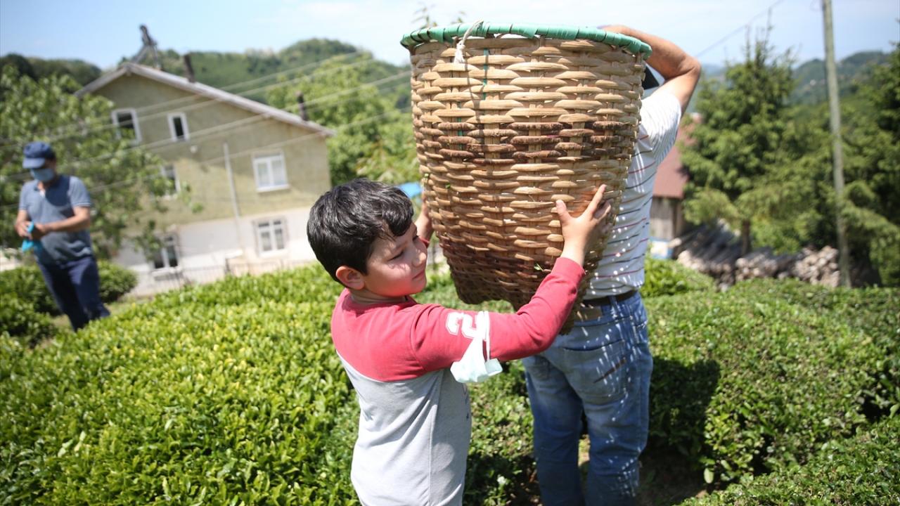 Üretici açıklanan fiyatlardan memnun