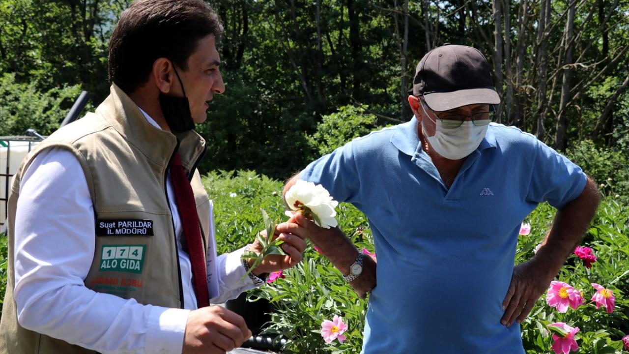 "Şakayığın kokusunu almanız lazım. Yoksa ne anlatsak eksik kalır"