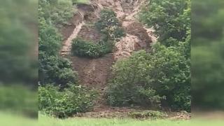Amasya'da heyelan ağaçları yerinden söktü, o anlar kameraya yansıdı