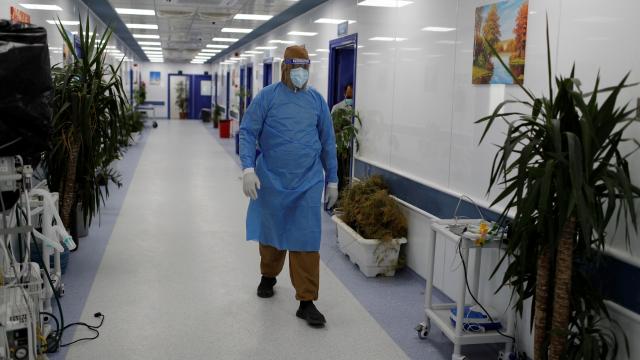 Tunus ve Irakta virüs kaynaklı can kayıpları arttı