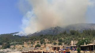 Milas'ta orman yangını