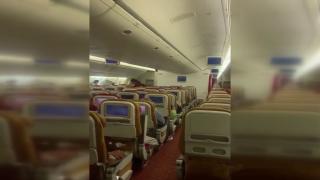 Hindistan'dan ABD'ye giden uçakta yarasa paniği