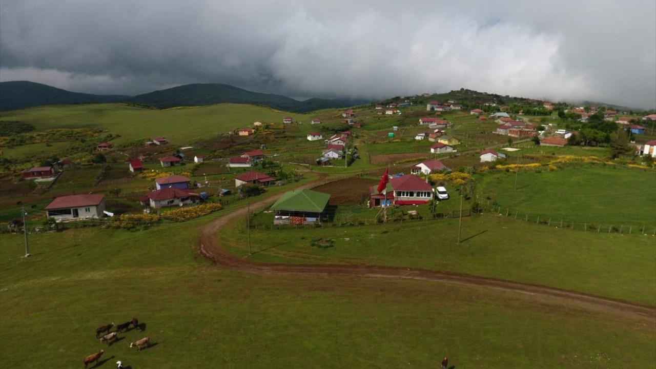 "15 günde bir yaylaya geliriz"